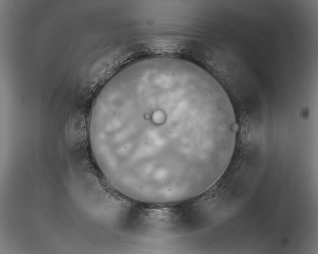 X0000115580411200912081030