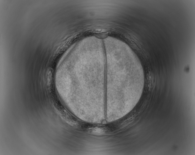 X0000115580412200912081030