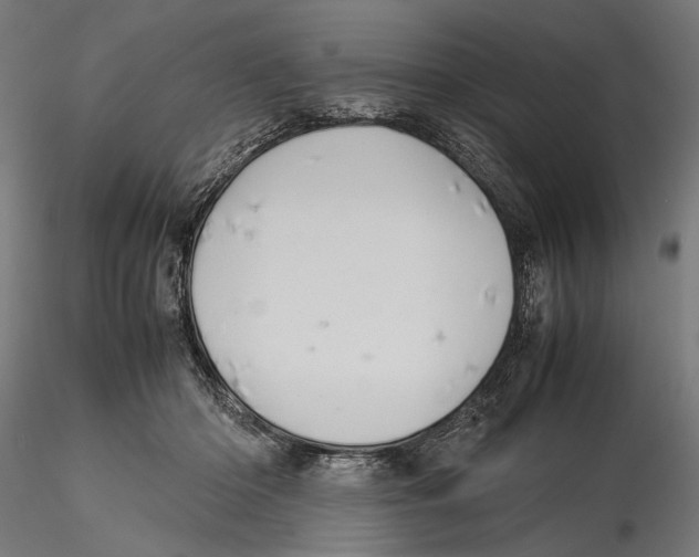 X0000115580414200912081030