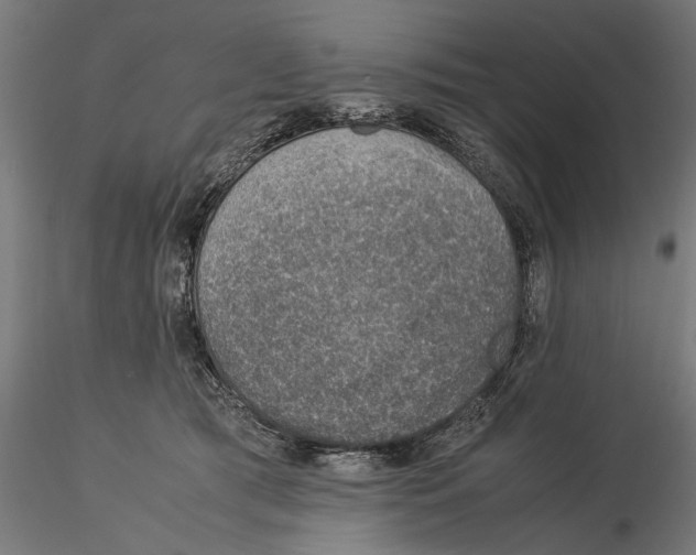 X0000115580417200912081030