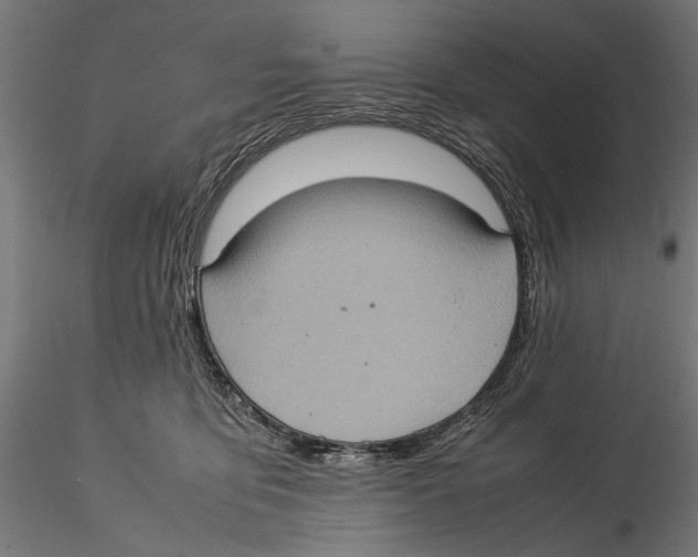 X0000115580419200912081030