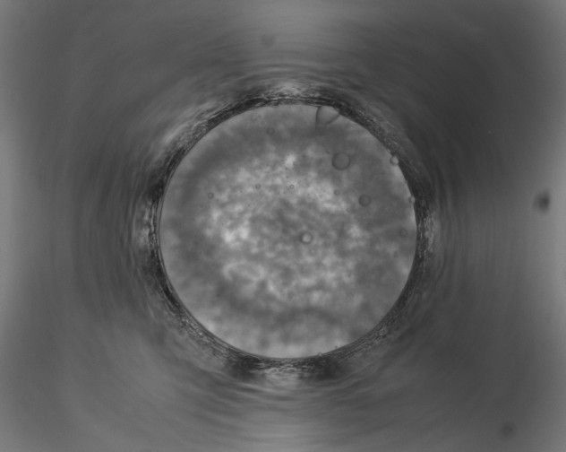 X0000115580423200912081030