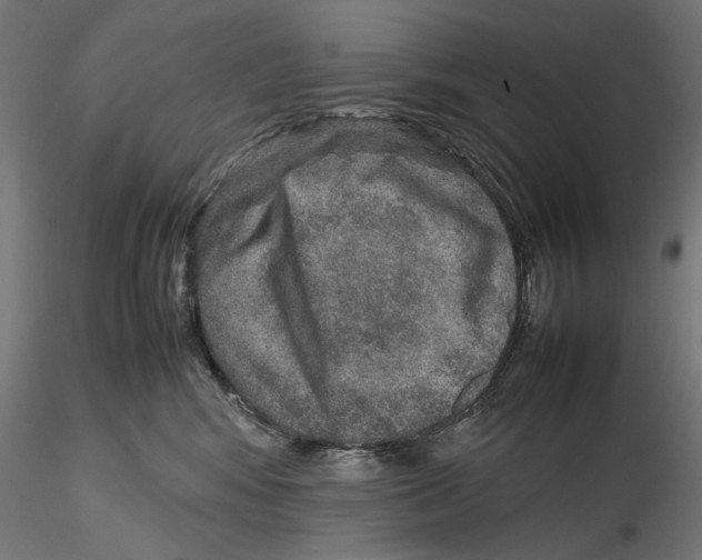 X0000115580424200912081030