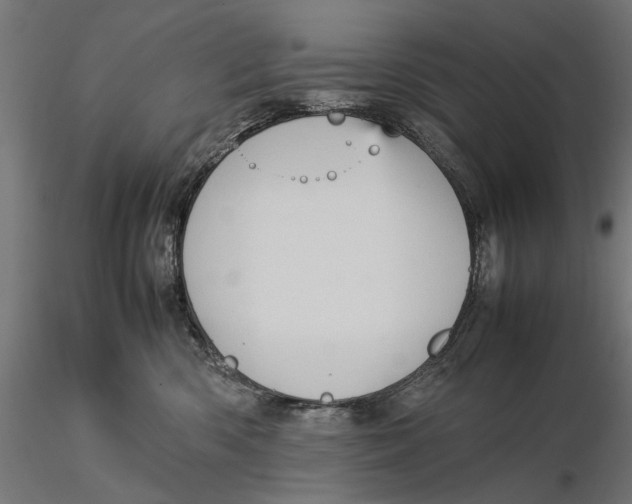 X0000115580426200912081030