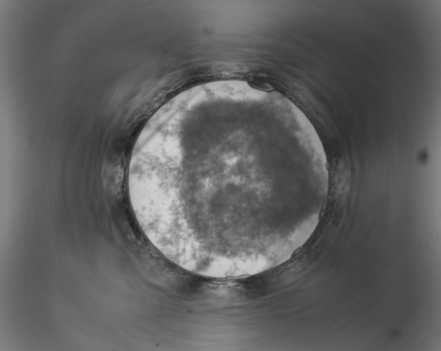 X0000115580427200912081030