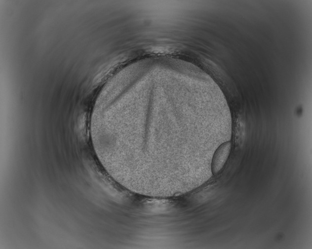 X0000115580428200912081030