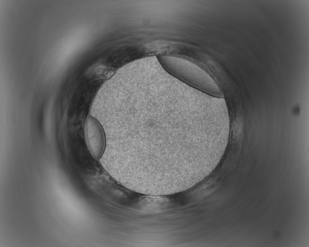 X0000115580429200912081030