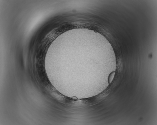 X0000115580430200912081030