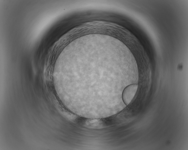 X0000115580431200912081030