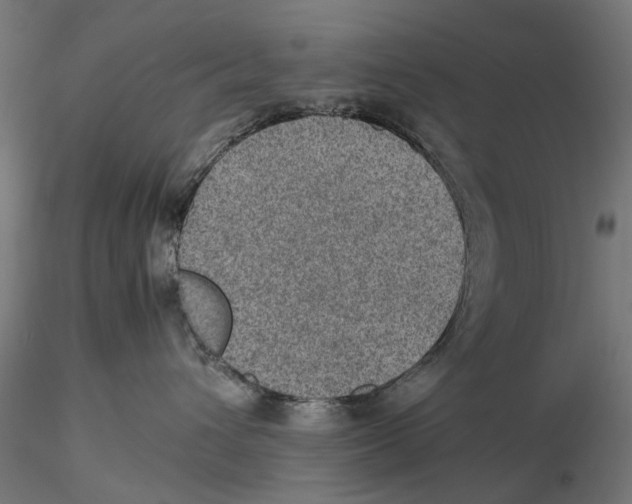 X0000115580432200912081030