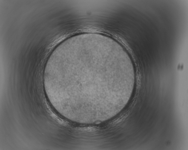 X0000115580433200912081029