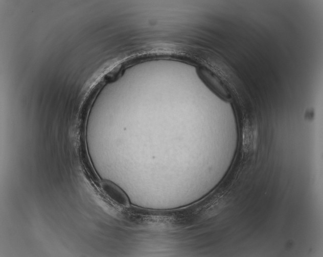 X0000115580436200912081029