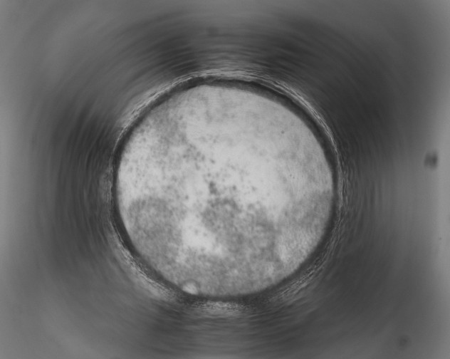 X0000115580437200912081029