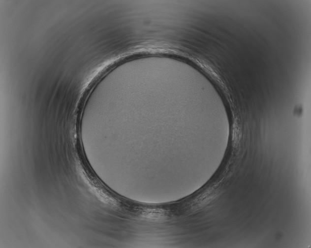 X0000115580438200912081029