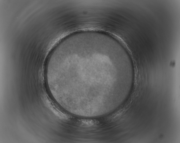 X0000115580439200912081029