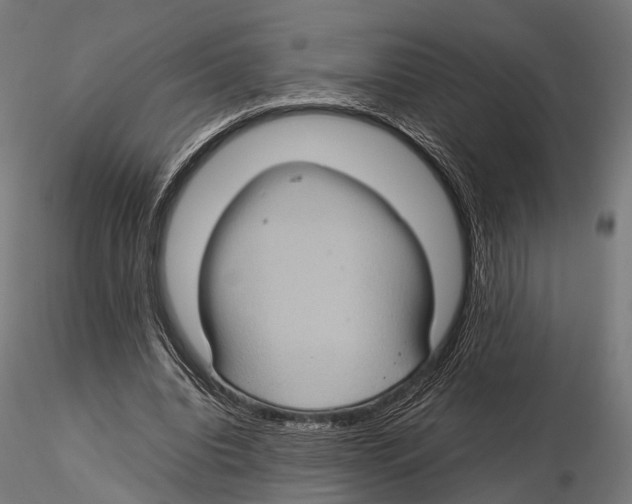 X0000115580440200912081029