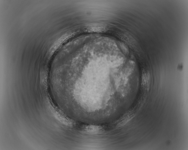 X0000115580444200912081029