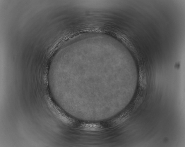 X0000115580449200912081029