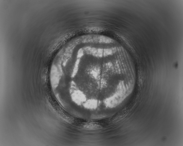 X0000115580451200912081029