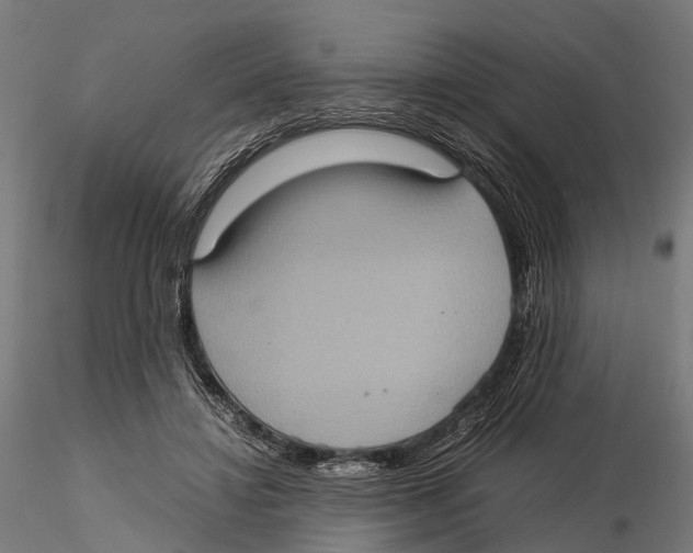 X0000115580452200912081030