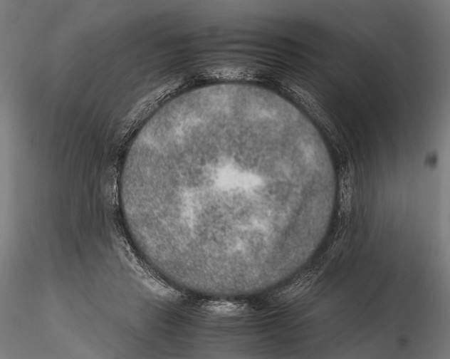 X0000115580453200912081030