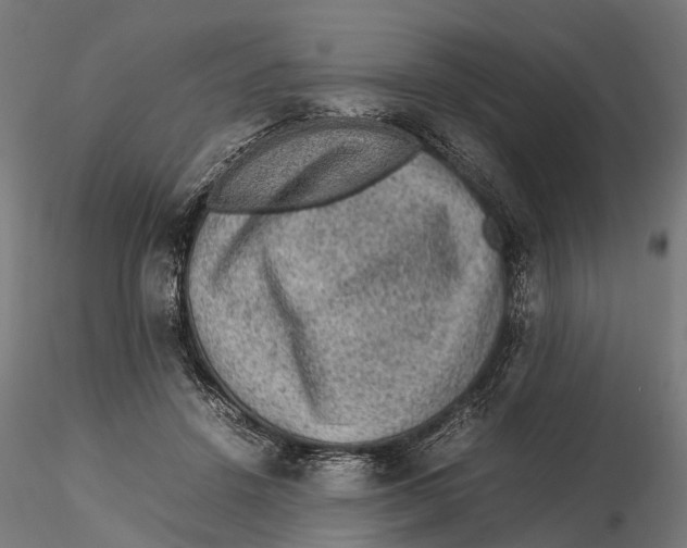 X0000115580456200912081030