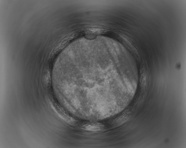 X0000115580459200912081030