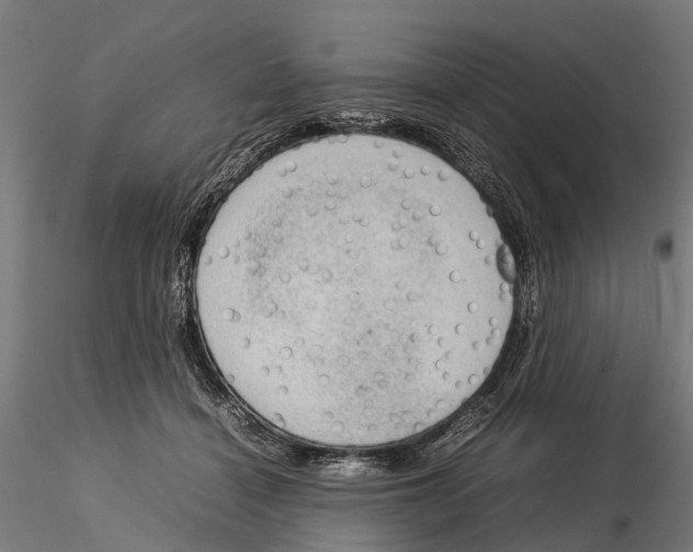 X0000115580460200912081030