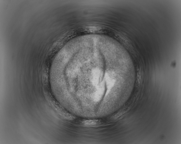 X0000115580461200912081030