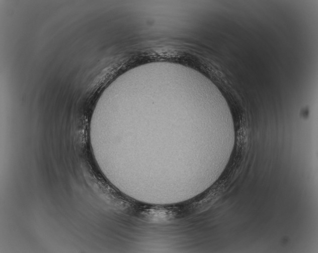 X0000115580464200912081030