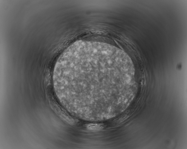 X0000115580465200912081030