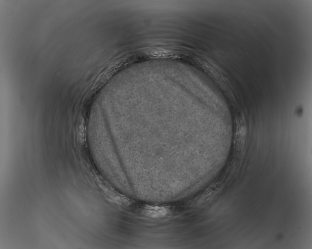 X0000115580469200912081030