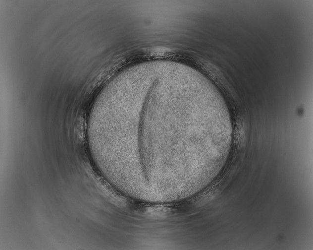 X0000115580470200912081030