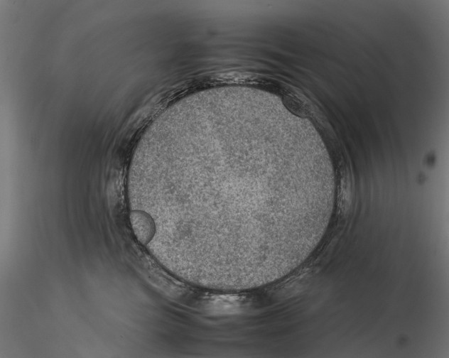 X0000115580473200912081030