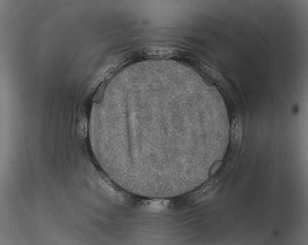 X0000115580474200912081030