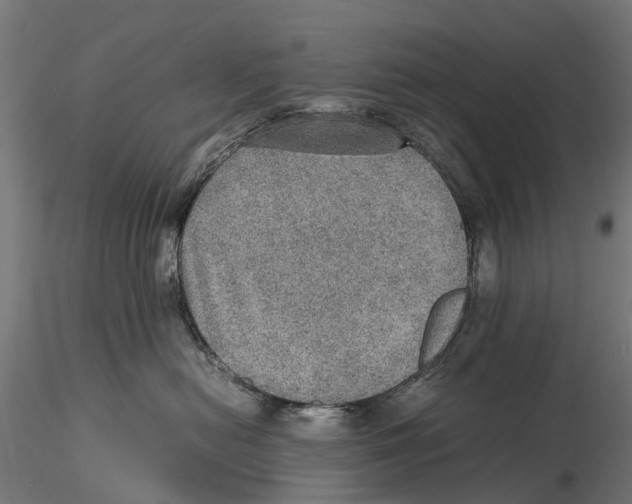 X0000115580478200912081030