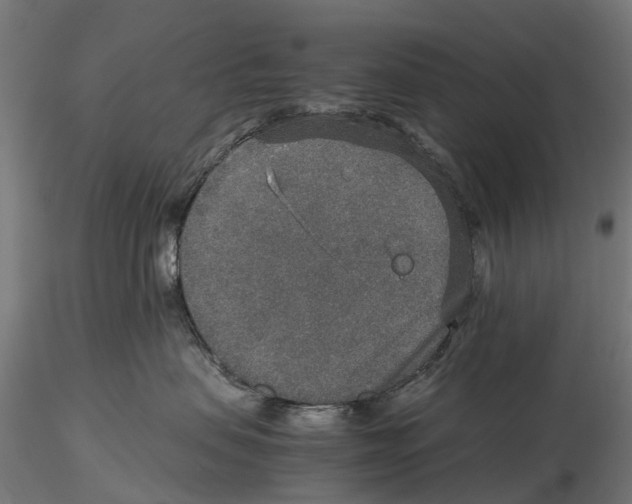 X0000115580479200912081030