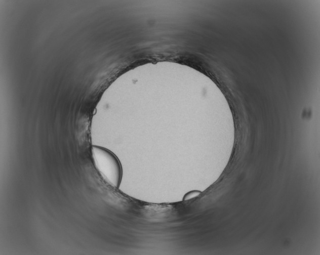 X0000115580480200912081030