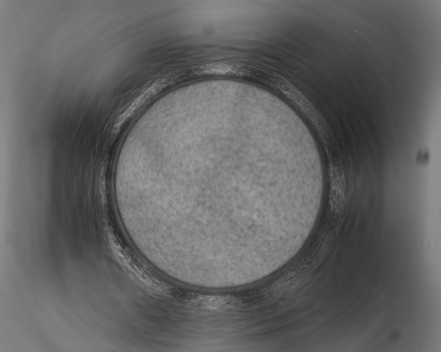 X0000115580482200912081029