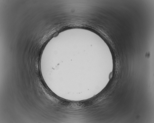 X0000115580489200912081029