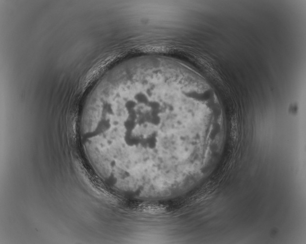 X0000115580491200912081029