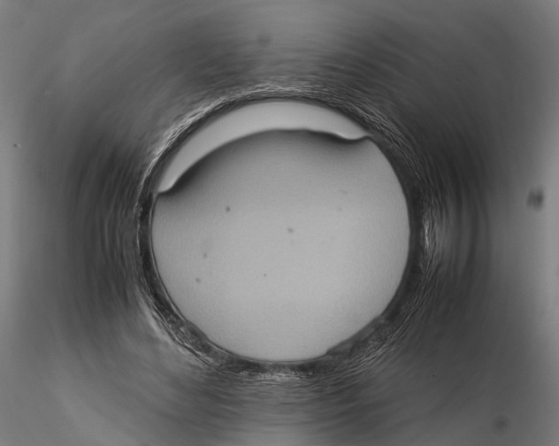 X0000115580492200912081029