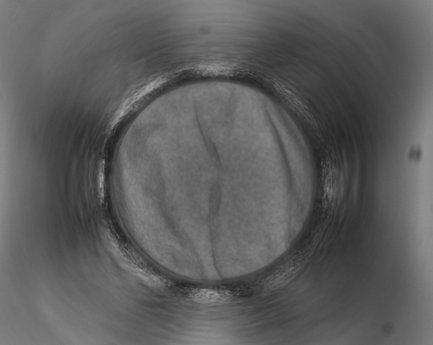 X0000115580494200912081029