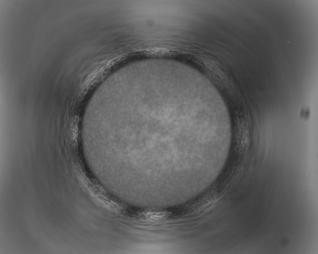 X0000115580495200912081029