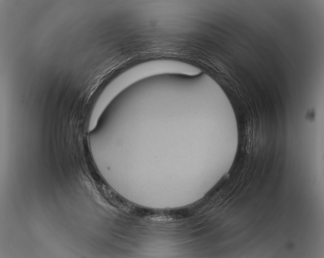 X0000115580500200912081029