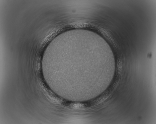 X0000115580501200912081029