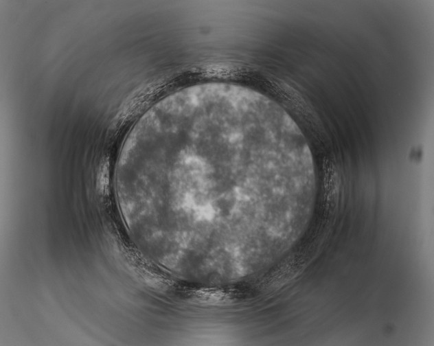 X0000115580502200912081029