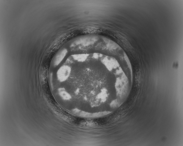 X0000115580503200912081029