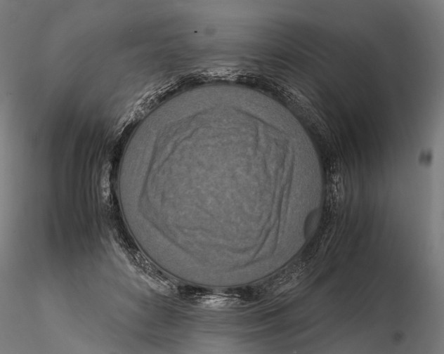 X0000115580504200912081029