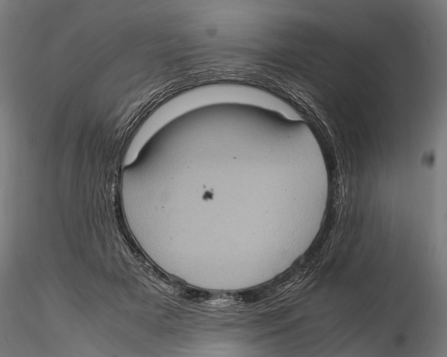 X0000115580505200912081029